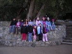 Pilgrim Pines